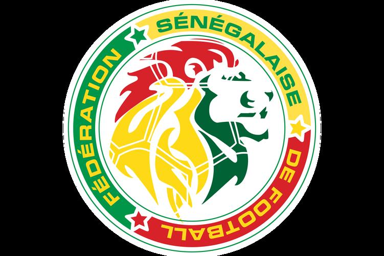 九游APP-塞内加尔队在比赛中表现出色，获得惊险胜利的简单介绍