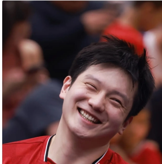 九游VIP-德国队绝杀日本队，樊振东惊艳四座