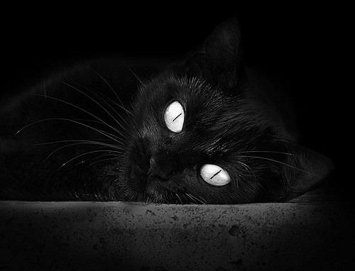 9you娱乐-佩德里全面爆发引领西班牙狂胜，巴西提前终结悬念轻取马里