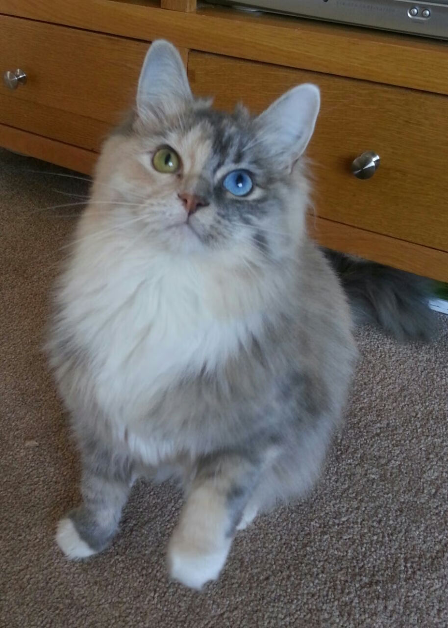 九游娱乐官方网站-杜兰特压力下完成爆发，篮网终结步行者