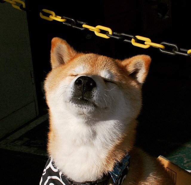 德罗赞刷新纪录率吉林队全面压制深圳队，豪取关键胜利