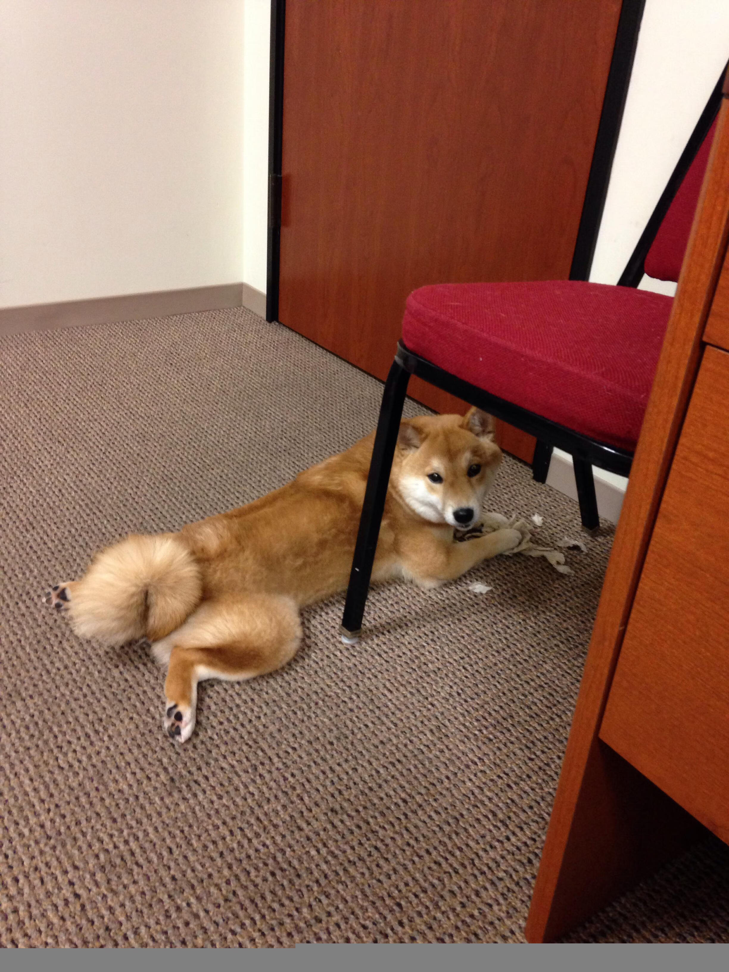 九游体育-北美星夜下的狂舞，莫德里奇以进攻雕刻时光